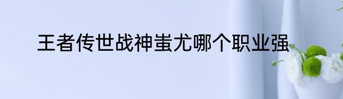 王者传世战神蚩尤哪个职业强