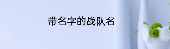 带名字的战队名