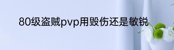80级盗贼pvp用毁伤还是敏锐