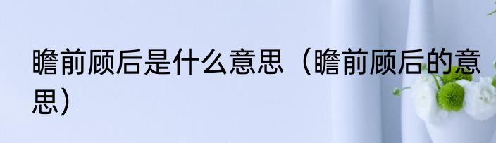 瞻前顾后是什么意思（瞻前顾后的意思）