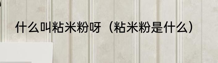 什么叫粘米粉呀（粘米粉是什么）