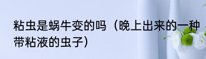 粘虫是蜗牛变的吗（晚上出来的一种带粘液的虫子）