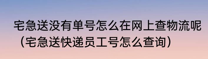 宅急送没有单号怎么在网上查物流呢（宅急送快递员工号怎么查询）