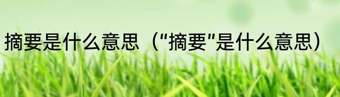 摘要是什么意思（“摘要”是什么意思）