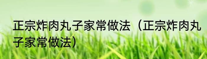 正宗炸肉丸子家常做法（正宗炸肉丸子家常做法）