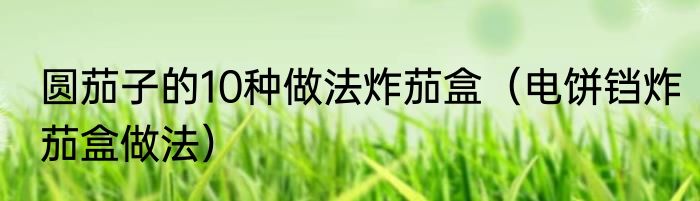 圆茄子的10种做法炸茄盒（电饼铛炸茄盒做法）