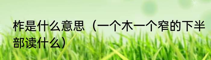 柞是什么意思（一个木一个窄的下半部读什么）