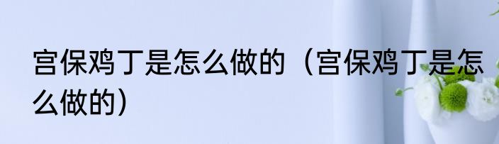 宫保鸡丁是怎么做的（宫保鸡丁是怎么做的）