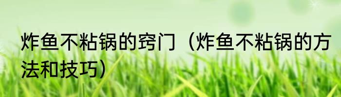 炸鱼不粘锅的窍门（炸鱼不粘锅的方法和技巧）