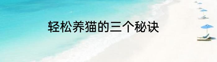 轻松养猫的三个秘诀