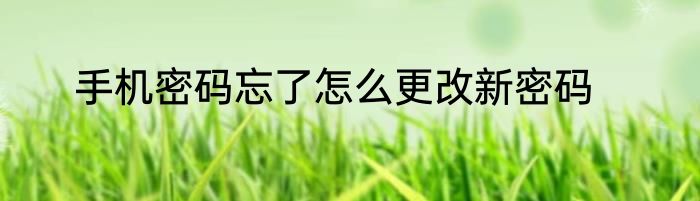 手机密码忘了怎么更改新密码