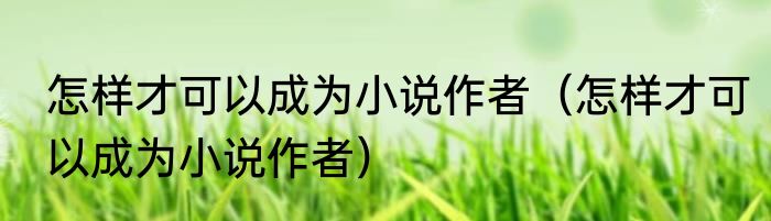 怎样才可以成为小说作者（怎样才可以成为小说作者）
