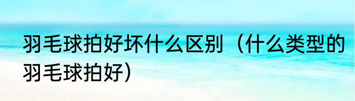 羽毛球拍好坏什么区别（什么类型的羽毛球拍好）