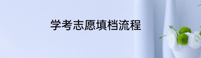 学考志愿填档流程