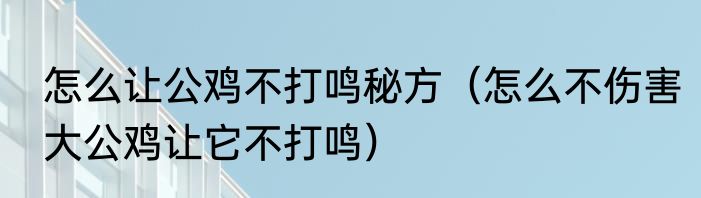 怎么让公鸡不打鸣秘方（怎么不伤害大公鸡让它不打鸣）