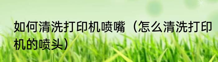 如何清洗打印机喷嘴（怎么清洗打印机的喷头）
