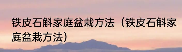 铁皮石斛家庭盆栽方法（铁皮石斛家庭盆栽方法）