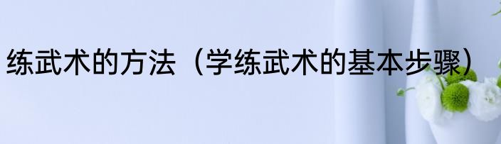 练武术的方法（学练武术的基本步骤）