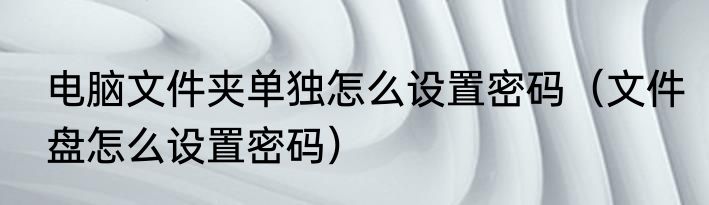 电脑文件夹单独怎么设置密码（文件盘怎么设置密码）