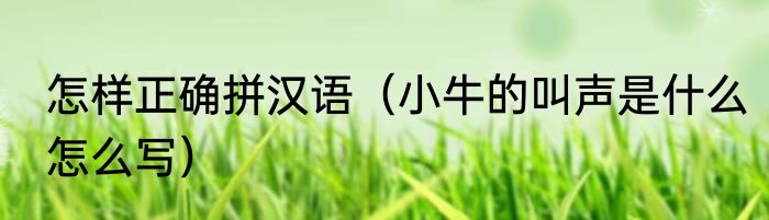 怎样正确拼汉语（小牛的叫声是什么怎么写）