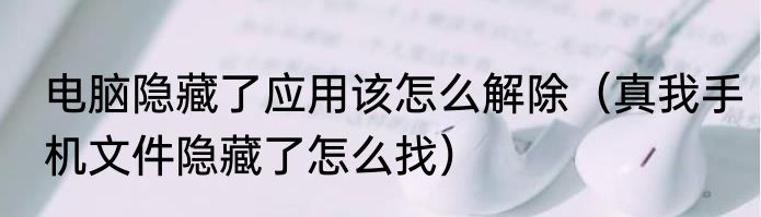 电脑隐藏了应用该怎么解除（真我手机文件隐藏了怎么找）