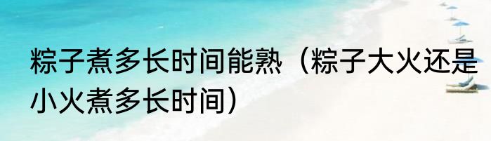 粽子煮多长时间能熟（粽子大火还是小火煮多长时间）