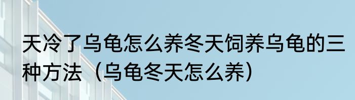 天冷了乌龟怎么养冬天饲养乌龟的三种方法（乌龟冬天怎么养）