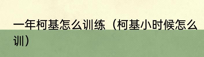 一年柯基怎么训练（柯基小时候怎么训）