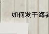 如何发干海参（如何发干海参）