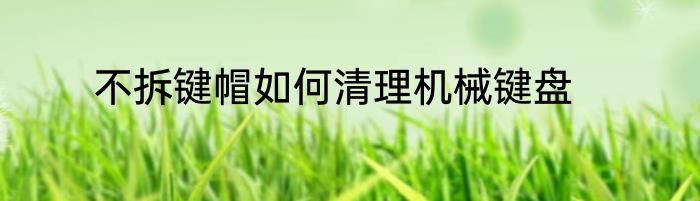 不拆键帽如何清理机械键盘