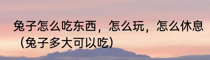 兔子怎么吃东西，怎么玩，怎么休息（兔子多大可以吃）