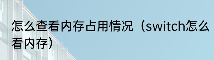 怎么查看内存占用情况（switch怎么看内存）