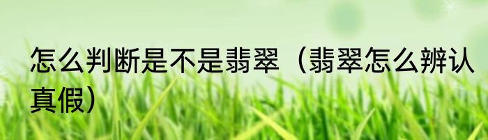 怎么判断是不是翡翠（翡翠怎么辨认真假）