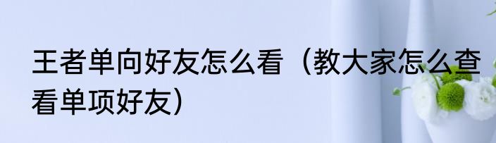 王者单向好友怎么看（教大家怎么查看单项好友）