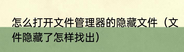 怎么打开文件管理器的隐藏文件（文件隐藏了怎样找出）