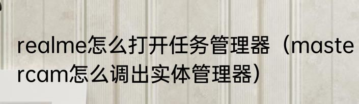 realme怎么打开任务管理器（mastercam怎么调出实体管理器）
