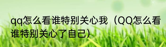 qq怎么看谁特别关心我（QQ怎么看谁特别关心了自己）