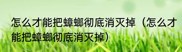 怎么才能把蟑螂彻底消灭掉（怎么才能把蟑螂彻底消灭掉）
