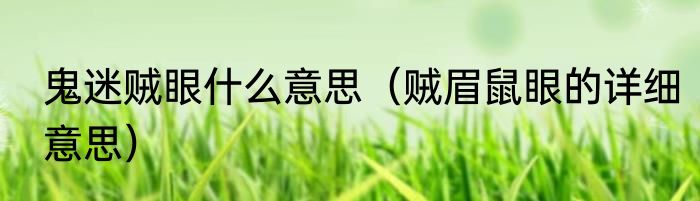 鬼迷贼眼什么意思（贼眉鼠眼的详细意思）