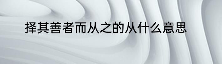 择其善者而从之的从什么意思