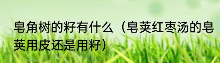 皂角树的籽有什么（皂荚红枣汤的皂荚用皮还是用籽）