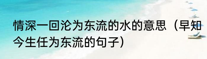 情深一回沦为东流的水的意思（早知今生任为东流的句子）