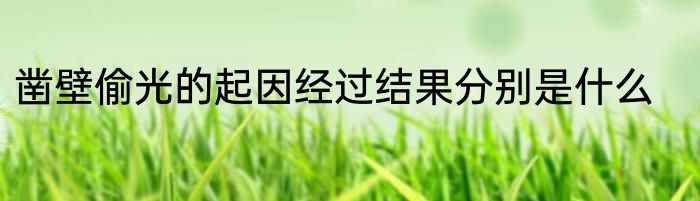 凿壁偷光的起因经过结果分别是什么