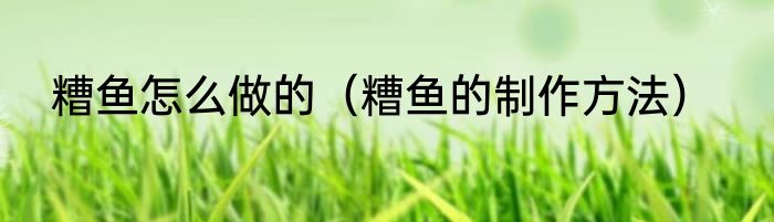 糟鱼怎么做的（糟鱼的制作方法）