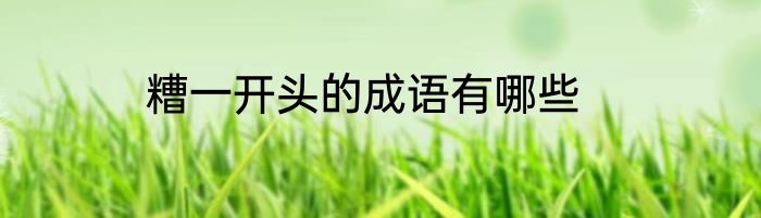 糟一开头的成语有哪些