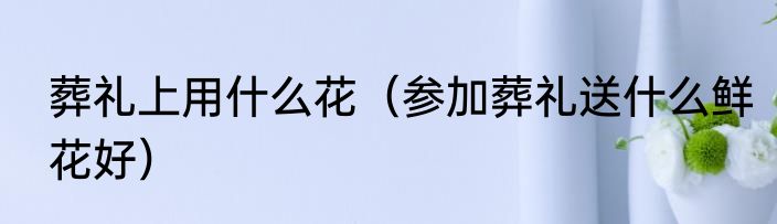葬礼上用什么花（参加葬礼送什么鲜花好）