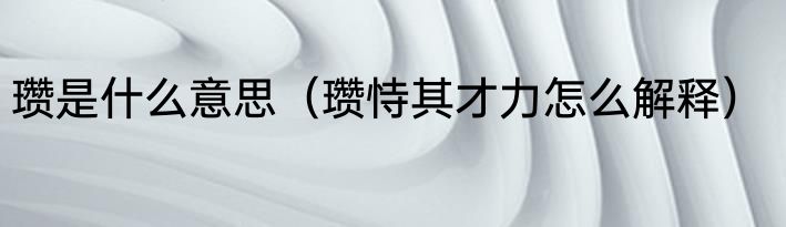 瓒是什么意思（瓒恃其才力怎么解释）