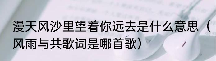 漫天风沙里望着你远去是什么意思（风雨与共歌词是哪首歌）