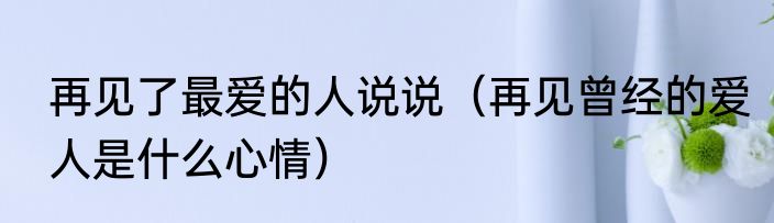 再见了最爱的人说说（再见曾经的爱人是什么心情）