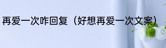 再爱一次咋回复（好想再爱一次文案）
